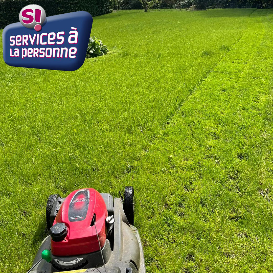 Paysagiste Service à La Personne