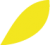 petale jaune