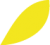 petale jaune petale jaune