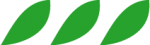 pétale vert foncé pétale vert foncé